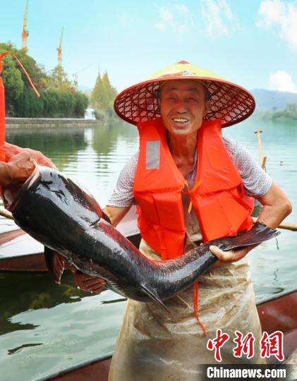 工作人員展示捕撈成果?！≈鬓k方供圖