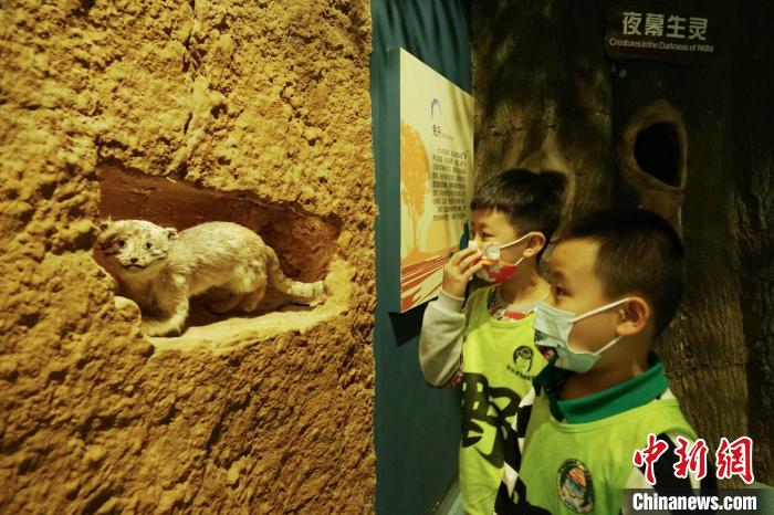 圖為小朋友在青海西寧湟水國(guó)家濕地公園科普館內(nèi)參觀學(xué)習(xí)?！●R銘言 攝