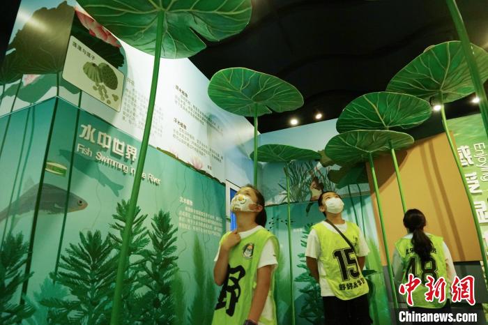 圖為小朋友在青海西寧湟水國(guó)家濕地公園科普館內(nèi)參觀學(xué)習(xí)?！●R銘言 攝