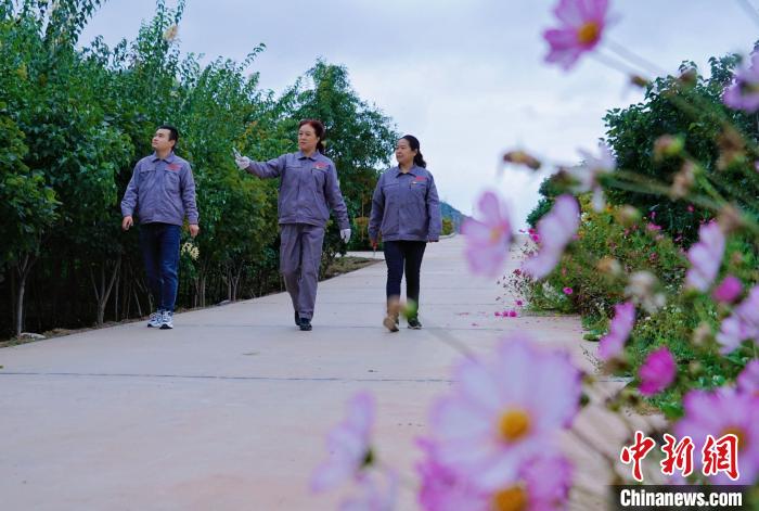 圖為張錦梅(中)與同事在西寧北山查看丁香樹?！●R銘言 攝