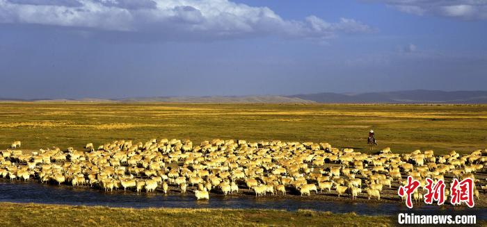 青?，敹唷鞍渍渲椤弊尠傩斟X袋鼓起來