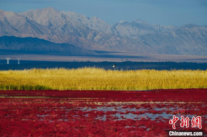 圖為柴達(dá)木盆地可魯克湖?！」?攝