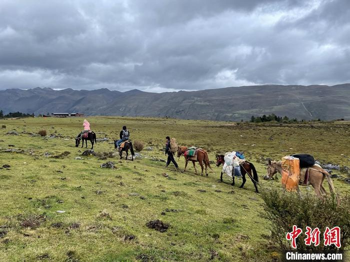 圖為9月26日游客騎馬領(lǐng)略尼汝村高原牧場(chǎng)風(fēng)光。 <a target='_blank' href='/'><p  align=