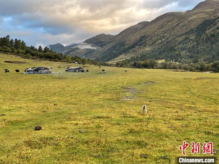 圖為9月27日新沾牧場(chǎng)的早晨景色。 <a target='_blank' href='/'><p  align=