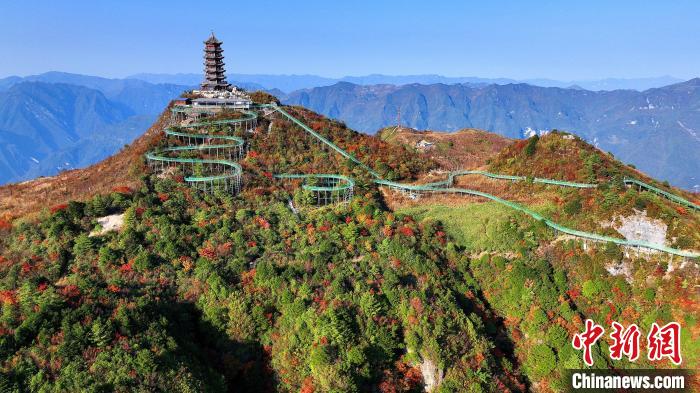 巴山大峽谷彩林迎來最佳觀賞期。　姚盛 攝