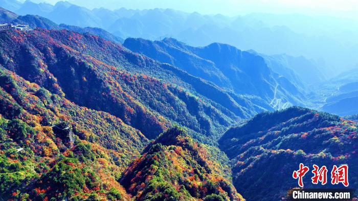 巴山大峽谷彩林迎來最佳觀賞期?！埰?攝