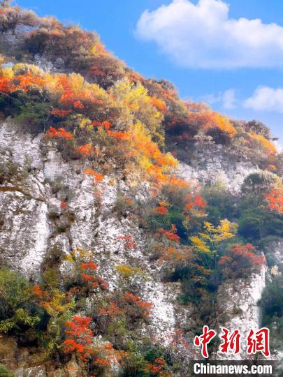 彩林色彩斑斕?！≈炱桨?攝