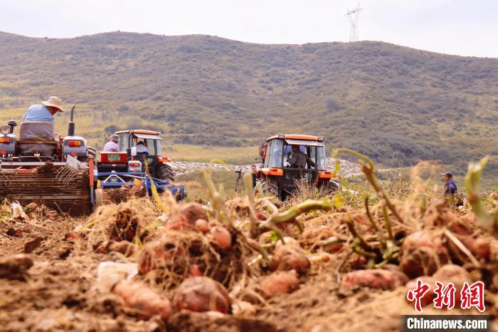 青海東部農(nóng)業(yè)區(qū)：“一分川、一分水、八分山”里“刨金記”