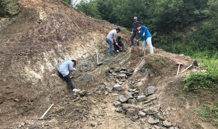 2018年玉海翼角魚野外發(fā)掘采集現場?！∩w志琨 攝