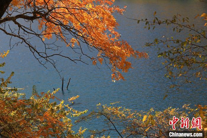 松坪溝風(fēng)光。　劉通 攝