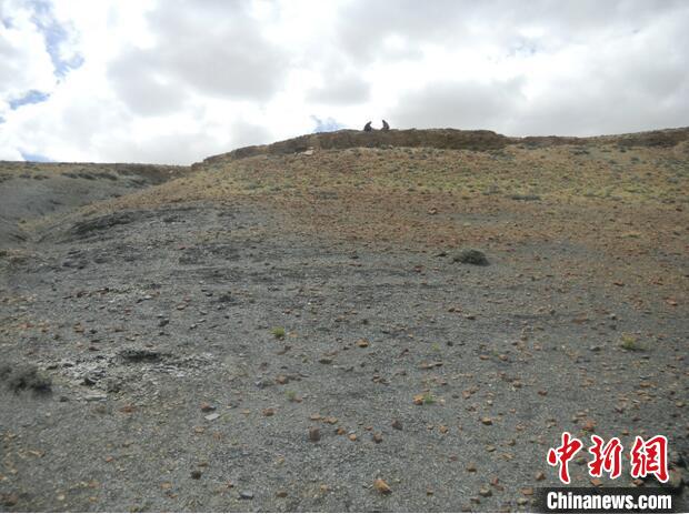 圖為本次研究的藏南曲布剖面二疊紀(jì)末期黑色頁(yè)巖?！∧瞎潘?供圖