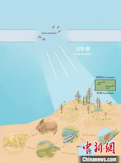臭氧層破壞引起的紫外線輻射增加對(duì)陸地食物鏈的影響?！∧瞎潘?供圖