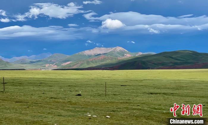 干旱致青海牧草生長受阻產量降低