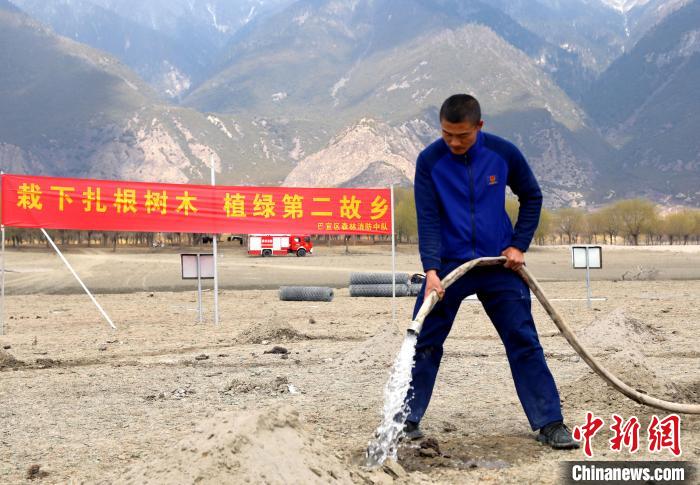 林芝市巴宜區(qū)森林消防中隊志愿服務(wù)隊澆水灌溉?！∥骼@拉翁 攝