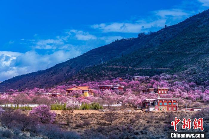 美麗的鄉(xiāng)村畫卷?！『涡秀?攝