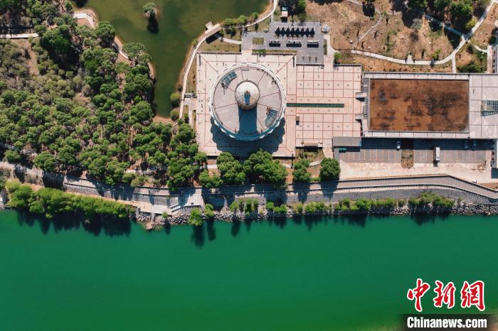 航拍青海貴德黃河岸畔綠意濃濃?！≮w凜松 攝