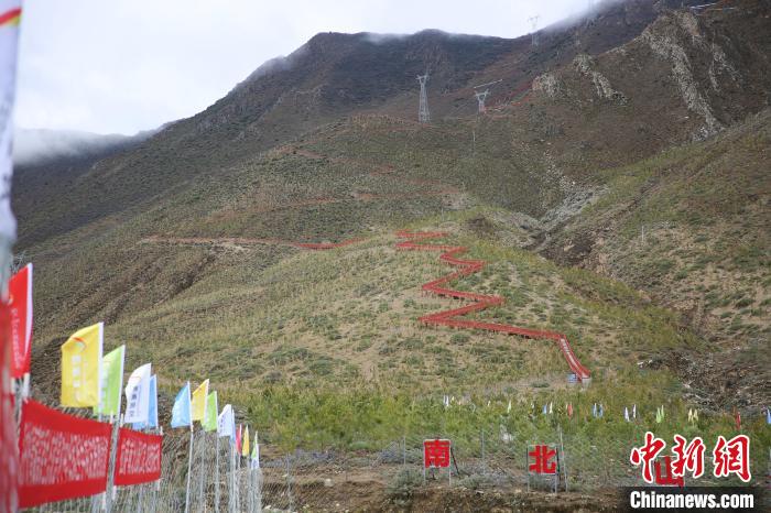 圖為拉薩南北山綠化工程拉薩曲水縣才納村5號片區(qū)?！∝暣_ 攝