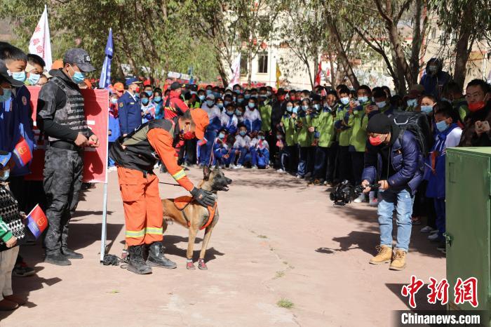 圖為搜救犬服從和箱體搜救演練?！≮w琳 攝