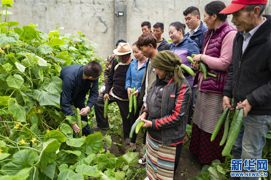 （新華全媒頭條·走向我們的小康生活·圖文互動）（9）扎西德勒，我們的新家園——西藏易地扶貧搬遷搬出幸福美好新生活