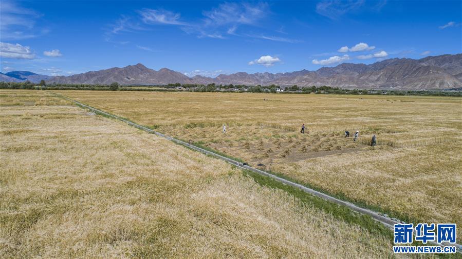 （新華全媒頭條·走向我們的小康生活·圖文互動）（11）扎西德勒，我們的新家園——西藏易地扶貧搬遷搬出幸福美好新生活