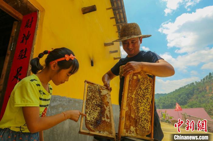 “甜蜜產(chǎn)業(yè)”讓全村致富有奔頭。洲湖鎮(zhèn)供圖