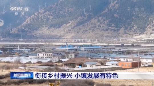 種蘑菇、養(yǎng)駱駝...。。特色產(chǎn)業(yè)助力鄉(xiāng)村振興走新路