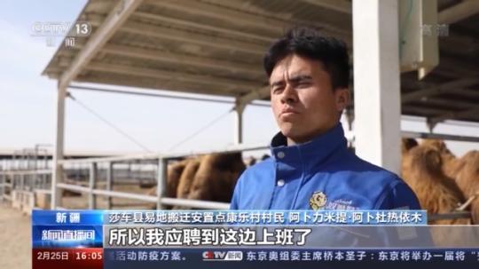 種蘑菇、養(yǎng)駱駝...。。特色產(chǎn)業(yè)助力鄉(xiāng)村振興走新路