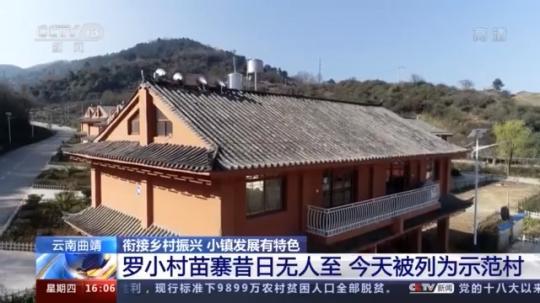 種蘑菇、養(yǎng)駱駝...。。特色產(chǎn)業(yè)助力鄉(xiāng)村振興走新路