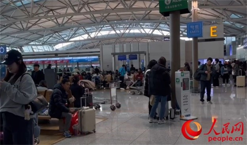 11月29日，繁忙的仁川機場。人民網(wǎng) 李帆攝
