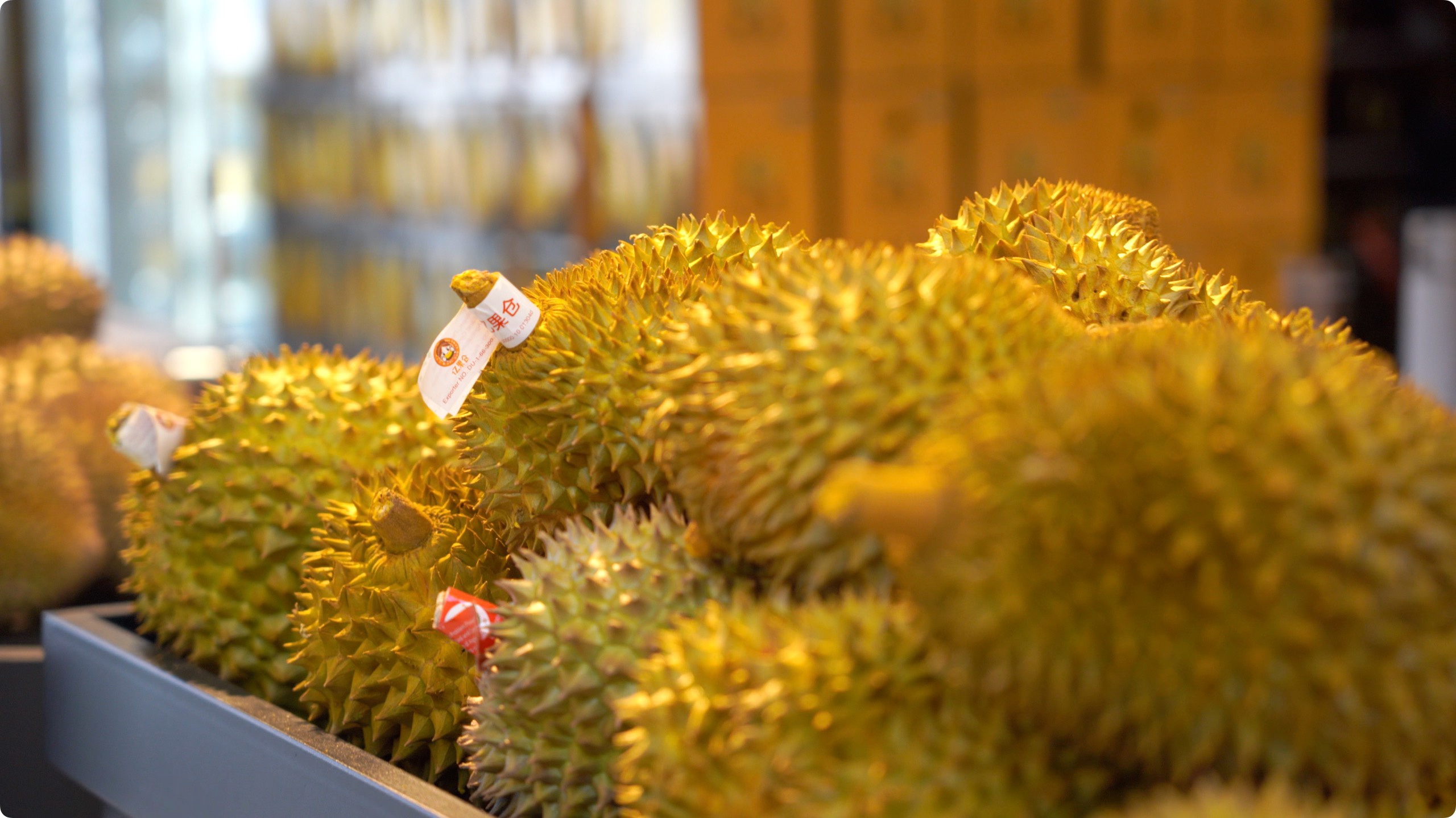 5月初，人民網(wǎng)記者申佳平攝