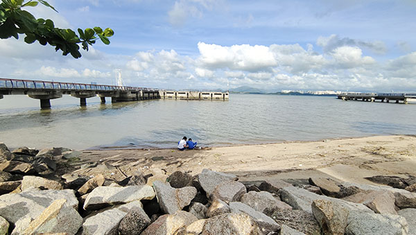 深圳紅樹林灘涂，留給了孩子們親近自然的空間。人民網(wǎng)記者 李彤?dāng)z