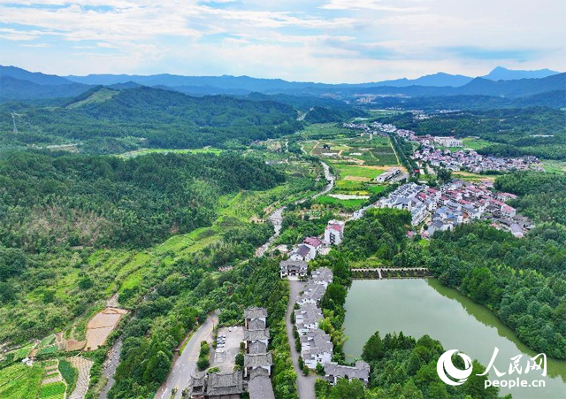 資溪縣森林資源豐富，森林覆蓋率達(dá)87.7%，有林地資源168萬畝。人民網(wǎng) 朱海鵬攝