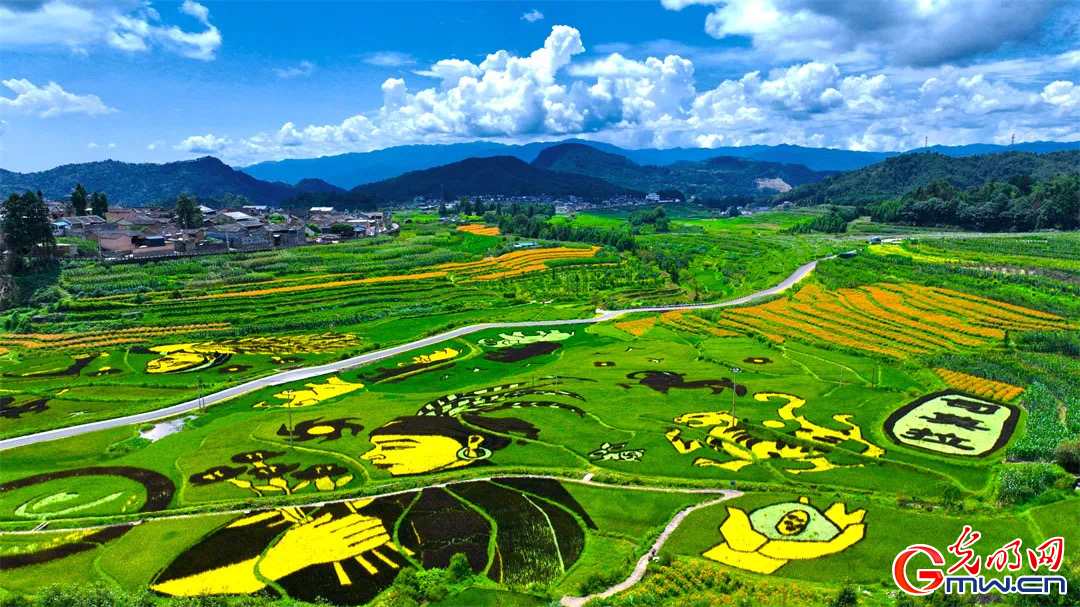 云南清水：延伸公共法律服務(wù)觸角，讓普法與民族團(tuán)結(jié)進(jìn)步互促共融