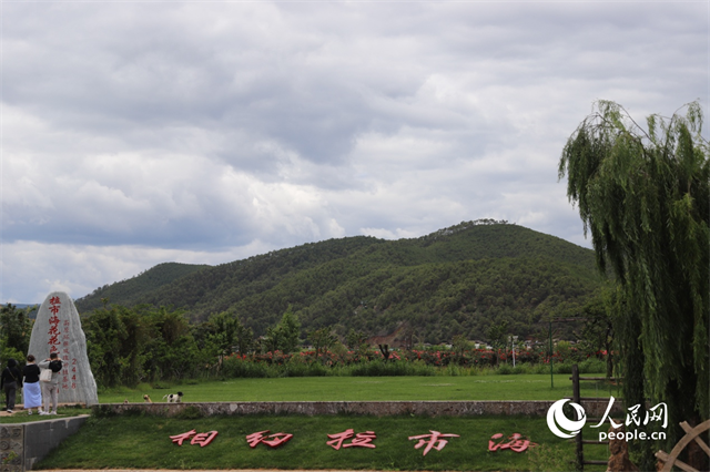 麗江市拉市海景區(qū)。 人民網(wǎng)記者 程浩攝