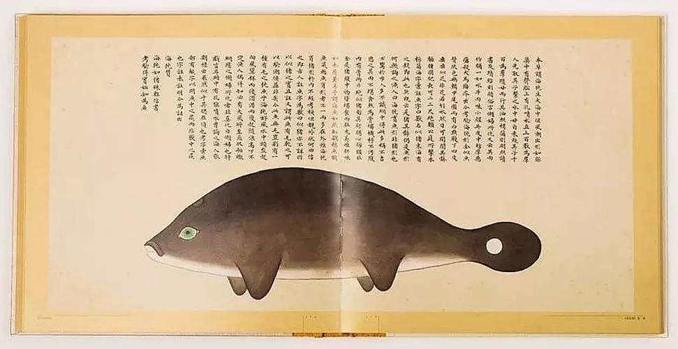 文化中國行 長江之歌丨微笑的江豚，從四千年前“游”來