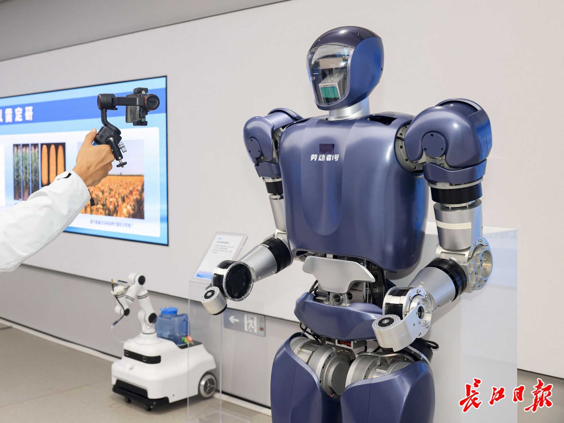 格藍(lán)若人形機(jī)器人。長江日報記者胡冬冬 攝