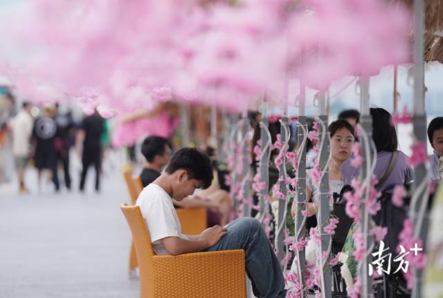 崖口村東堤靠近海岸，成為了熱門打卡休閑地點。