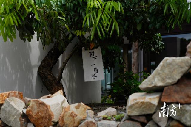 崖口村內(nèi)的文藝民宿。