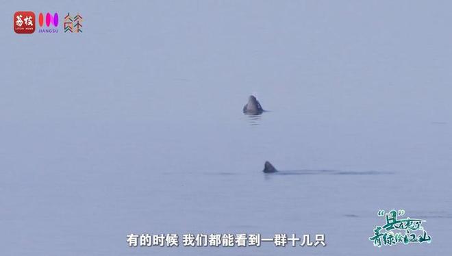 “縣”在起筆 青綠繪江山 | 江灣沐曉：褪去“銹色”走“金線”，繡出生態(tài)與產(chǎn)業(yè)“雙面錦”