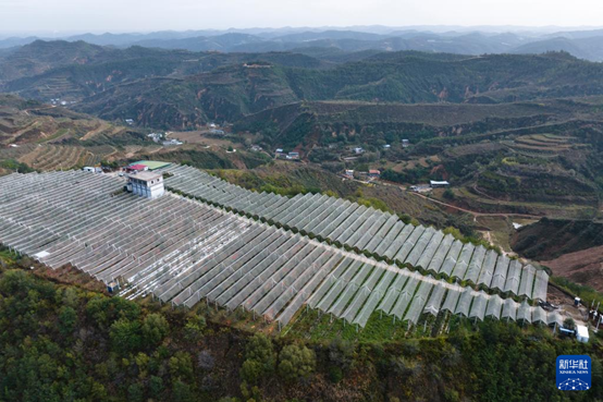 【高質(zhì)量發(fā)展看陜西】“上天”的延安蘋果，蘊(yùn)藏哪些新質(zhì)生產(chǎn)力