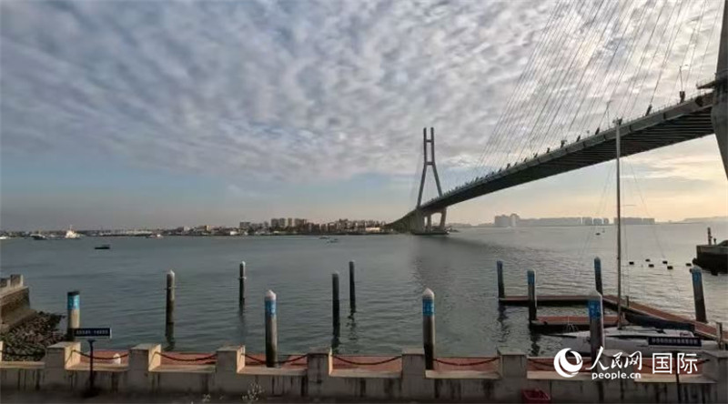 海南省儋州市洋浦大橋。人民網(wǎng) 薩拉·阿芙澤爾攝