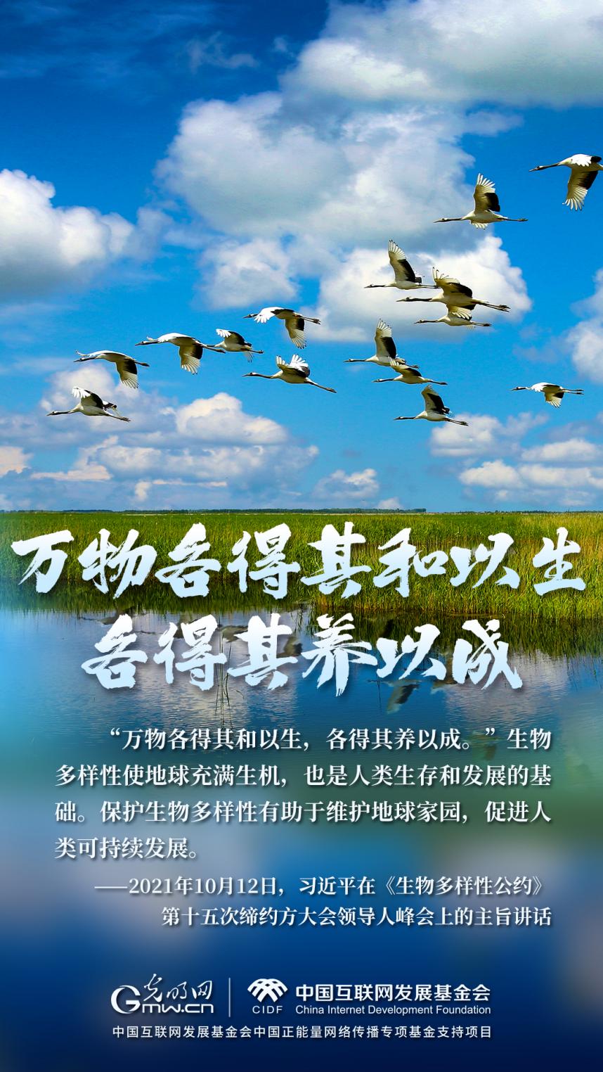 “兩山”理念與美麗中國(guó)丨濕地與候鳥(niǎo)，一場(chǎng)歲歲年年的相守