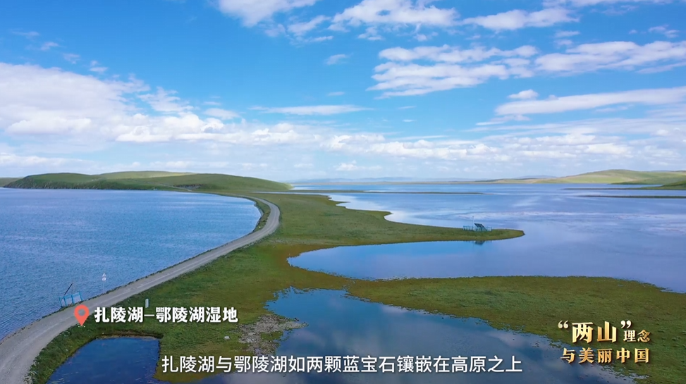 “兩山”理念與美麗中國(guó)丨濕地與候鳥(niǎo)，一場(chǎng)歲歲年年的相守