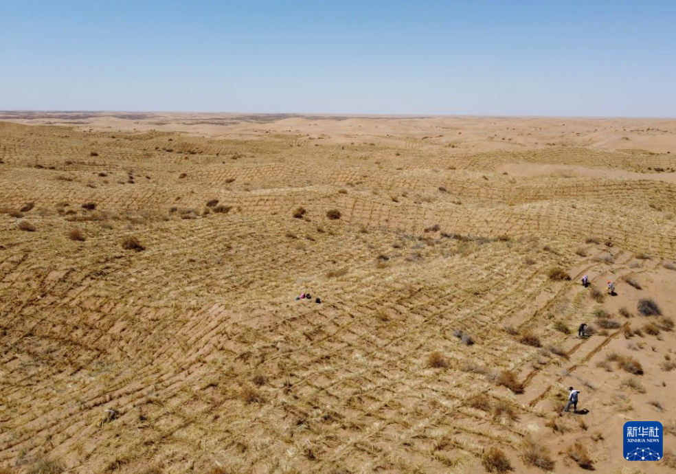 2024年4月10日，群眾在古浪縣八步沙林場麻黃塘沙區(qū)用草方格壓沙。新華社發(fā)（無人機(jī)照片）