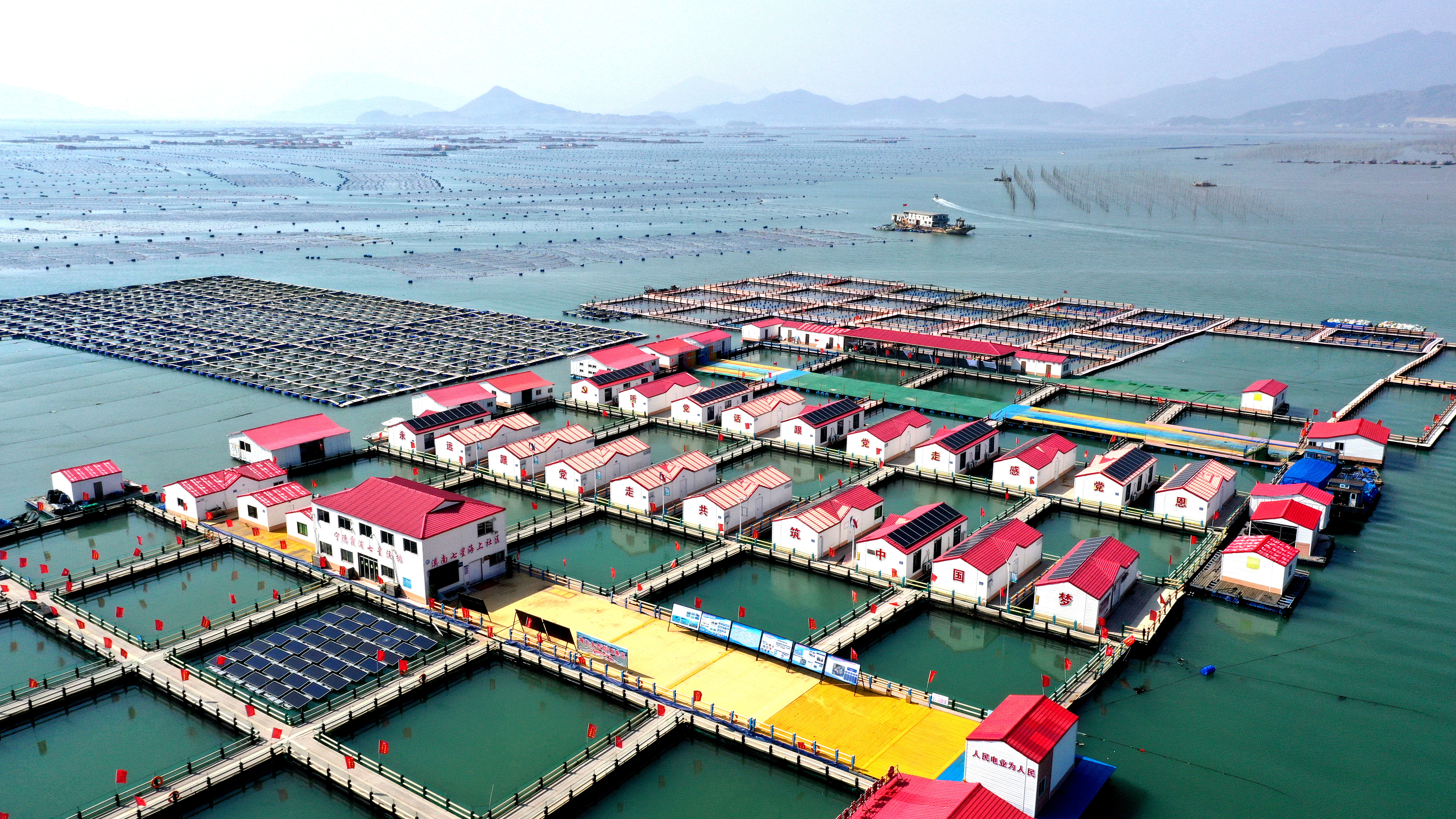 2024年3月20日，福建省寧德市，霞浦縣溪南鎮(zhèn)七星村漁排養(yǎng)殖示范區(qū)，漁民駕駛養(yǎng)殖船進(jìn)行海參養(yǎng)殖作業(yè)。