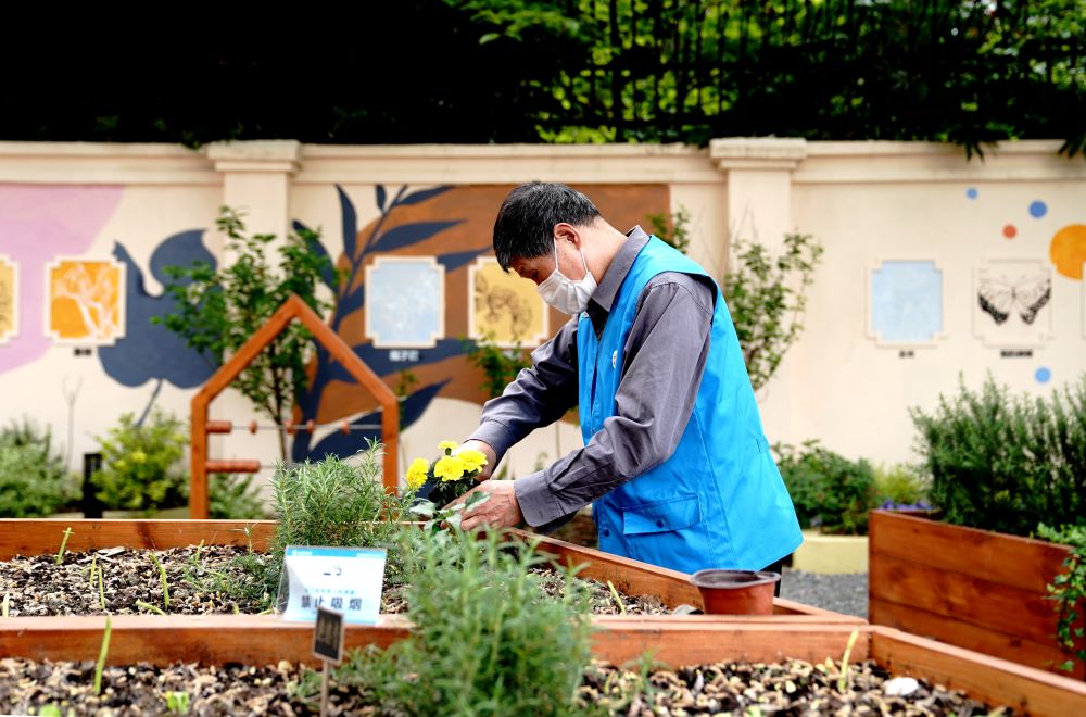上海市長寧區(qū)虹旭小區(qū)居民在整理改造社區(qū)花園。居民們把堆肥箱里發(fā)酵出來的“綠色材料”和土壤拌在一起鋪在種植箱中（2020年4月22日攝）。新華社記者 張建松 攝