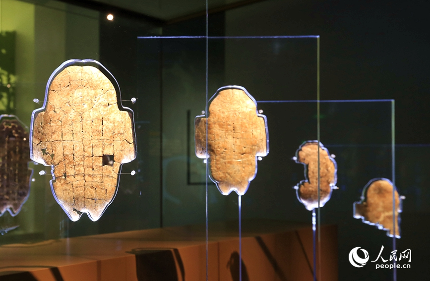 殷墟博物館展出的甲骨文。人民網(wǎng)記者 慎志遠 攝