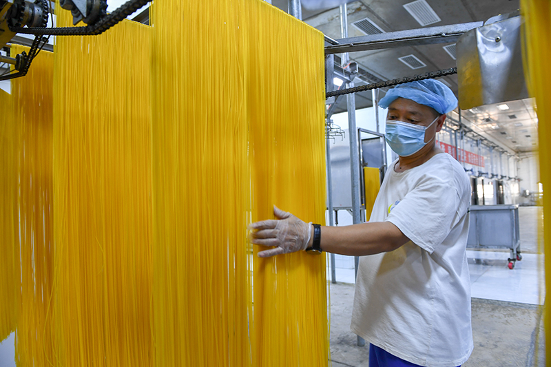 2024年1月25日，在吉林省公主嶺市的一家公司車(chē)間，工人查看玉米面條生產(chǎn)情況。