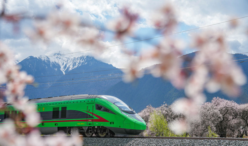 2025年4月2日，復(fù)興號列車穿行在拉林鐵路林芝段。