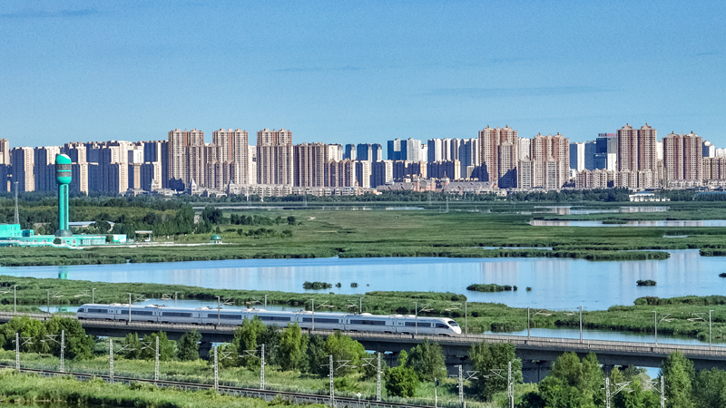 2025年8月17日，一列動車組列車駛過大慶東站。